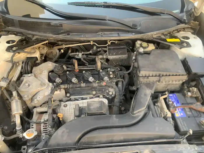 التيما 2016 نص فل 30