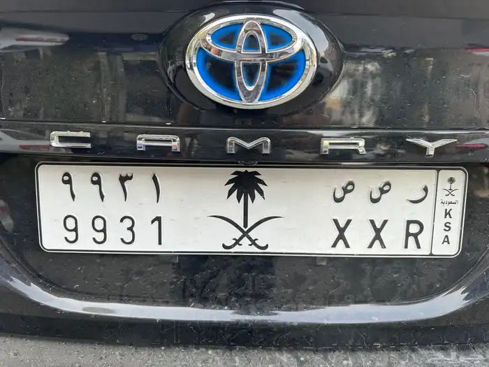 لوحة مميزة للبيع 0