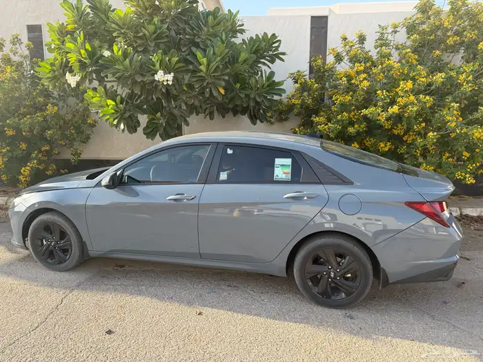 للبيع النتراء 2023 نص فل 7