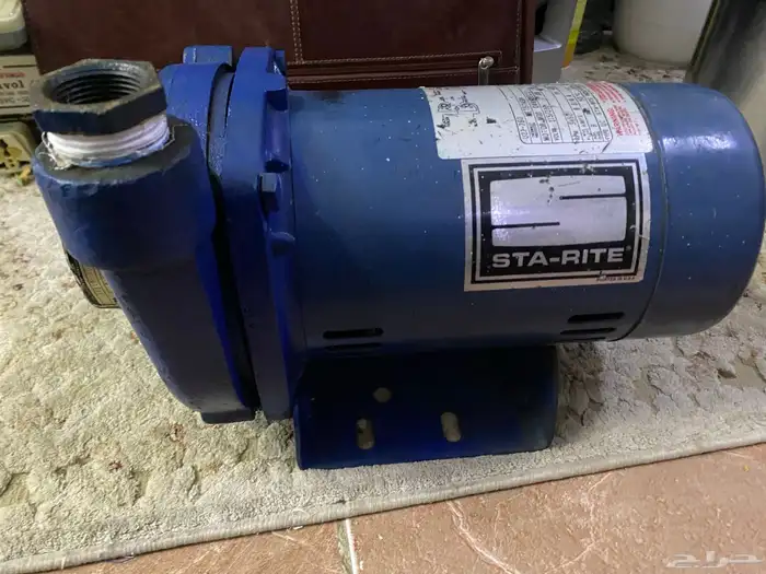 دينمو سمنان أمريكي 5