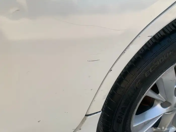 التيما 2016 نص فل 31