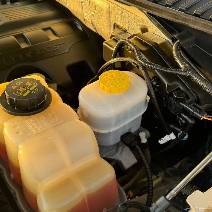 اكسبيدشن 2016 عداد قليل ( دبل - طويل ) 32