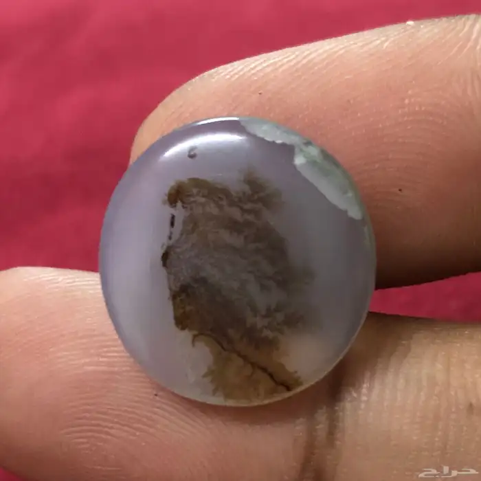 حجر عقيق مشجر مصور رأس حرمة 0