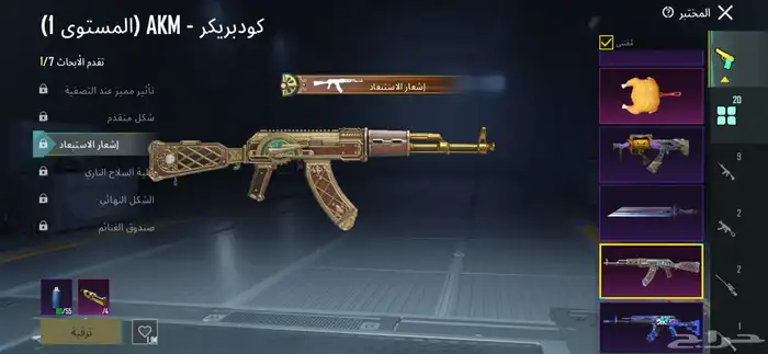 حساب ببجي للبيع 14