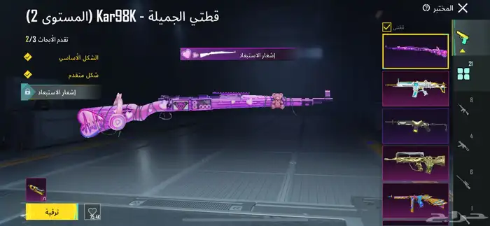 حساب ببجي للبيع 2