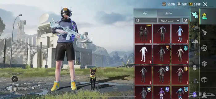 حساب ببجي للبيع 16