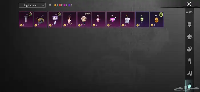 حساب ببجي للبيع 13