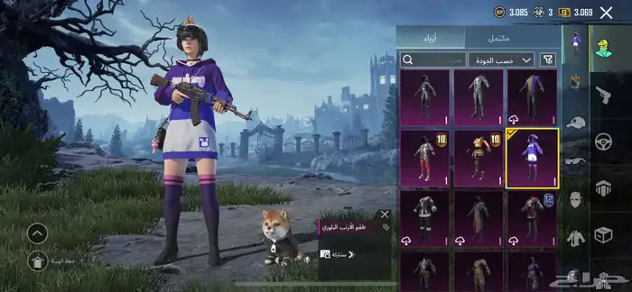 حساب ببجي 1