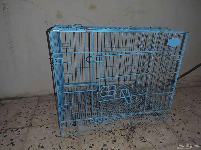 شبك قطط للبيع 0