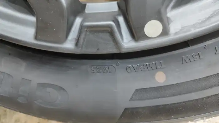 جنوط جيتور T2 2025 3