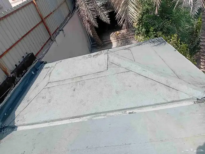 المبرز الاحساء 4