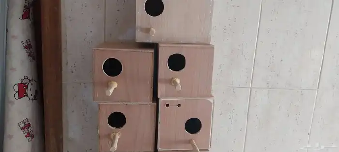 10 بياضة طيور تستخدم للبادجي وطيور الزيبرا والكناري 1