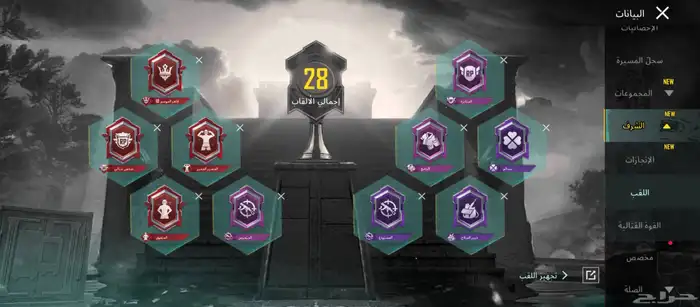 حساب ببجي للبيع 2