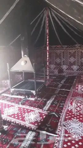 تجهيز مخيمات 4