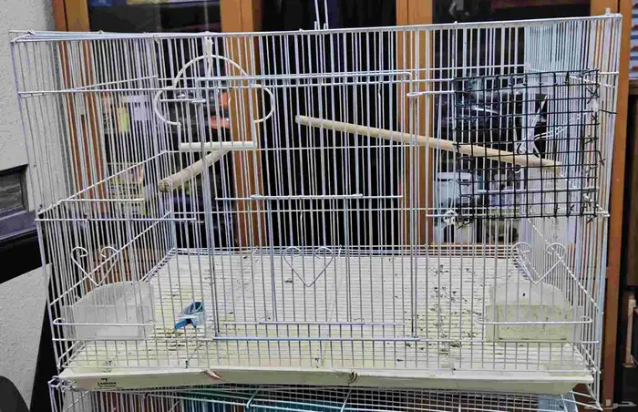 3 اقفاص للبيع 1