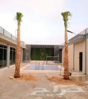 الدمام الشرقيه 4