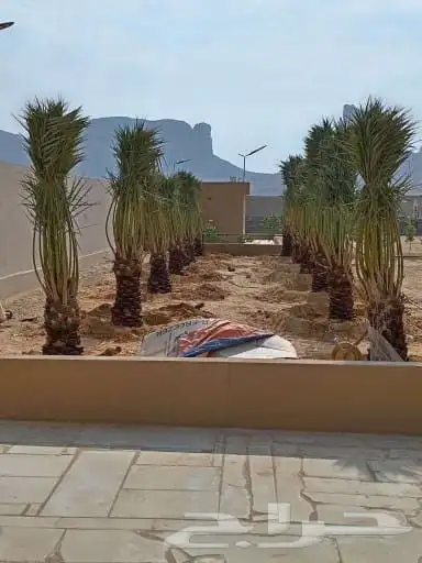 الدمام جده مكه الطايف الدوادمي المزحميه الشرقية عفيف ضلم تب 3