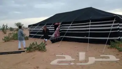 تجهيز مخيمات 0