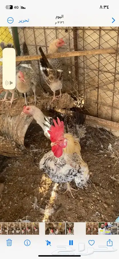 ثلاث اطقم كلهم بياض الوان مميزة وشرط الصحه 4