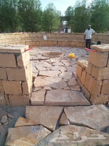 يتوفر لدينا جميع أنواع النخيل 2