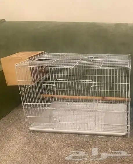 قفص وبياضه 2