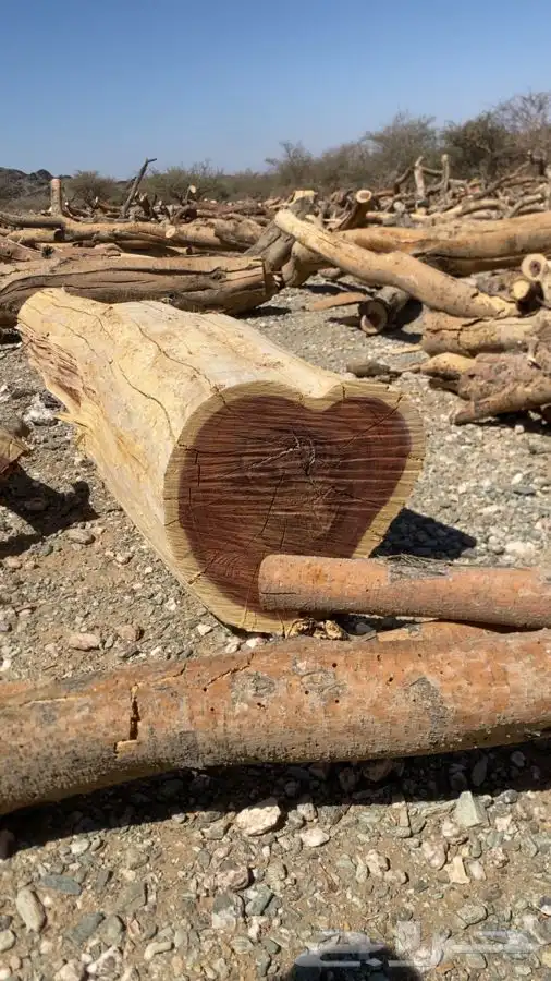 لوحه سياره س م ر للبيع دنه ونيت اي شي 0