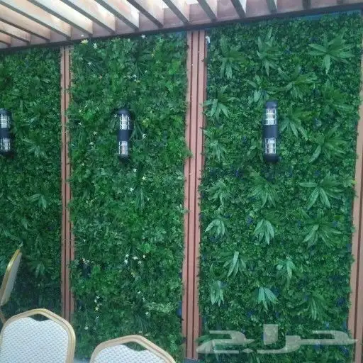 منسق حدايق 7