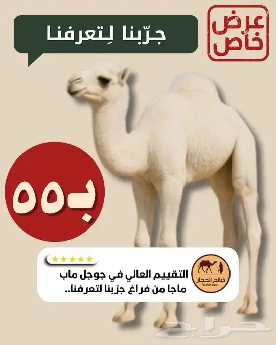 عرض كيلوا الحاشي 55  لمدة 3 ايام 1