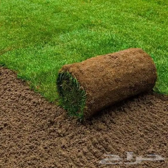 تيل طبيعي عشب طبيعي زرع طبيعي 0