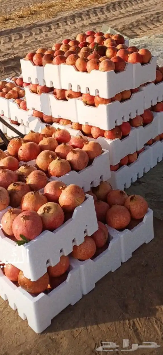 رمان متوفر كميات 0