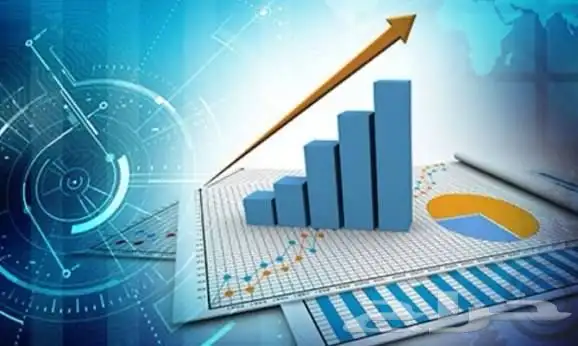 دراسة جدوى 0