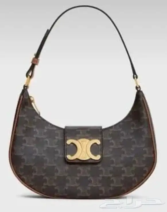 شنطه ماركات ديور قودشي شانيل وجميع إلى منزله متوفره لطلب 17