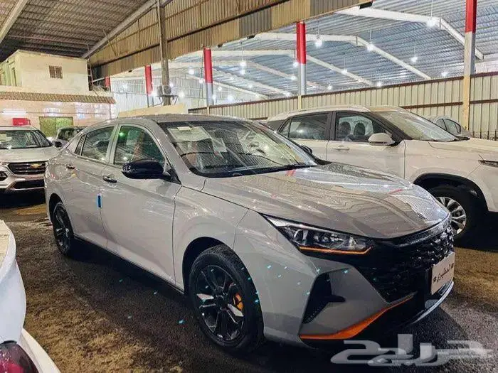 دونج فينج شاين استاندر E1 موديل 25 كاش واقساط مع عازل مجاني 3