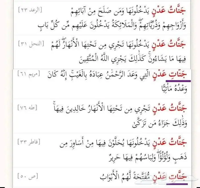 معلم تأسيس وقرآن ونور البيان وتجويد للأطفال وكبار السن 1