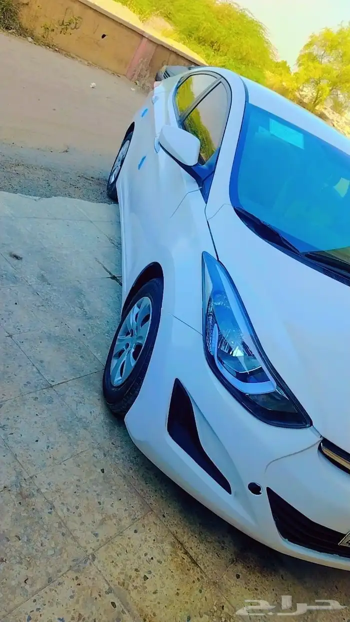 النترا 2016 3