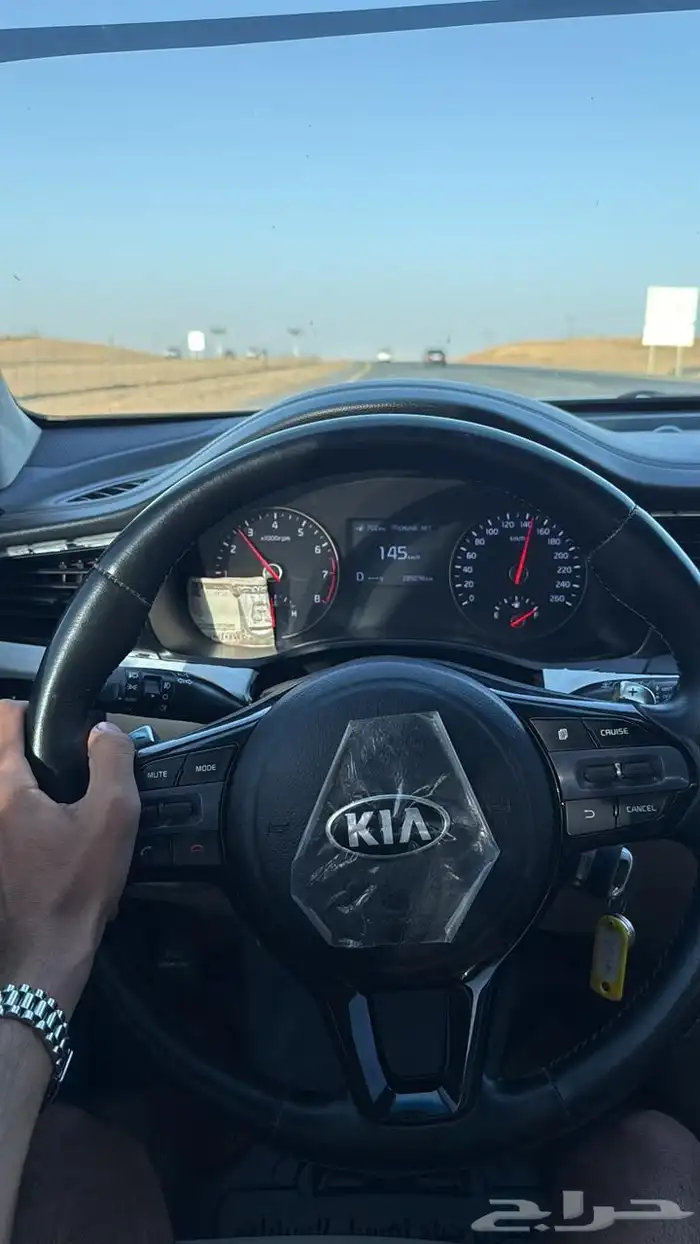 كادينزا 11