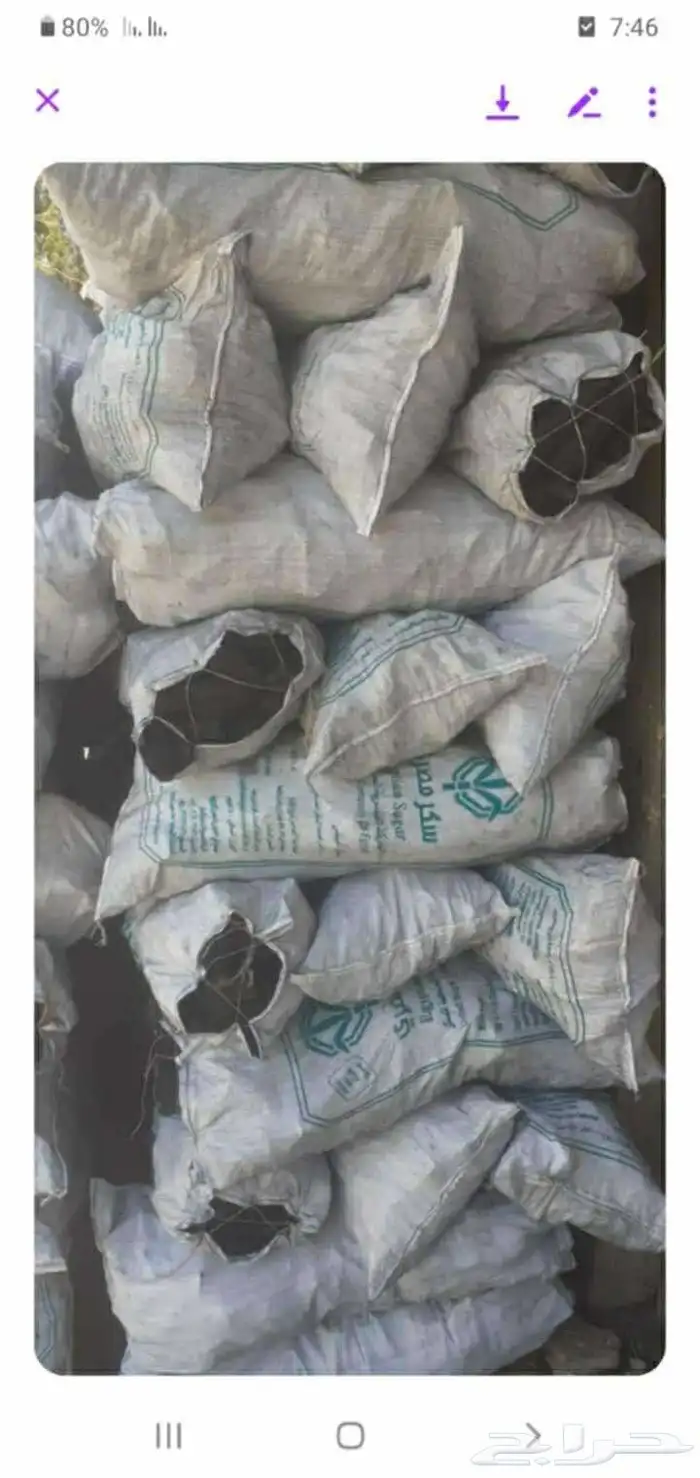 توريد فحم طبيعي مورد فحم اندونيسي ممتاز للمطاعم والكافيهات 0