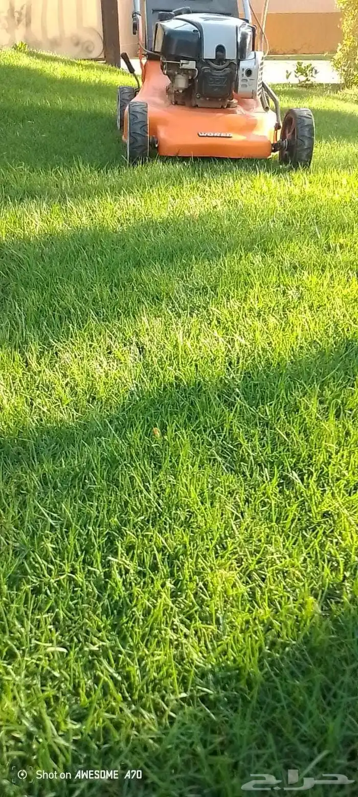 تنسيق حدائق 3