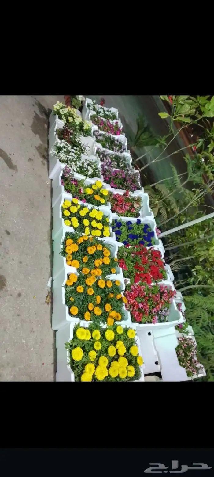 مزارع ومنسق حدائق 1