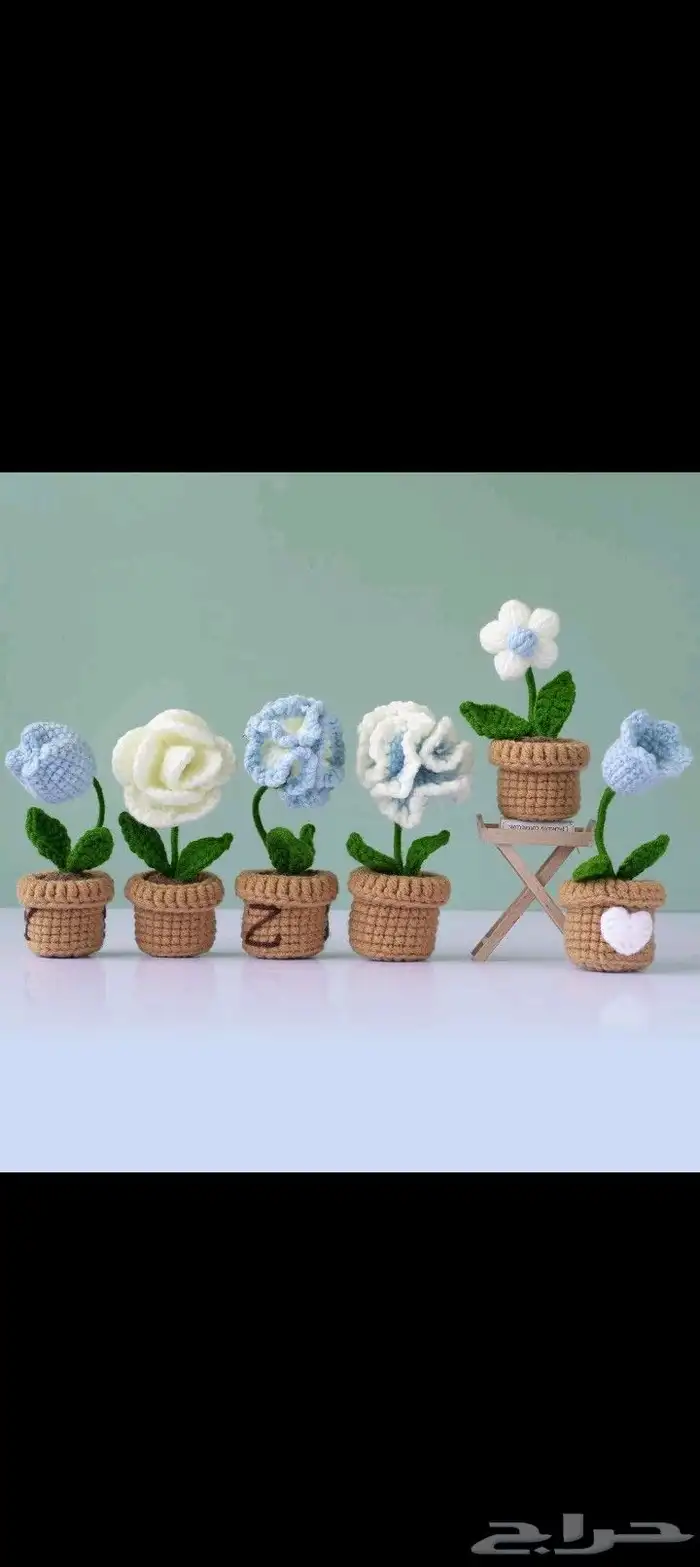 وردبلصوف والوان حسب طلب لصغيري 15ولوسط 30 3