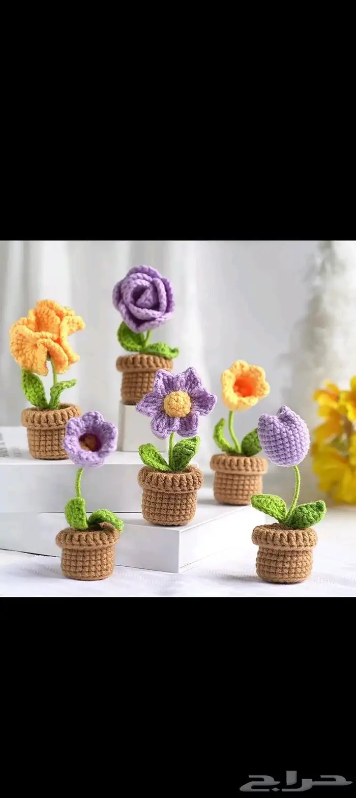 وردبلصوف والوان حسب طلب لصغيري 15ولوسط 30 0