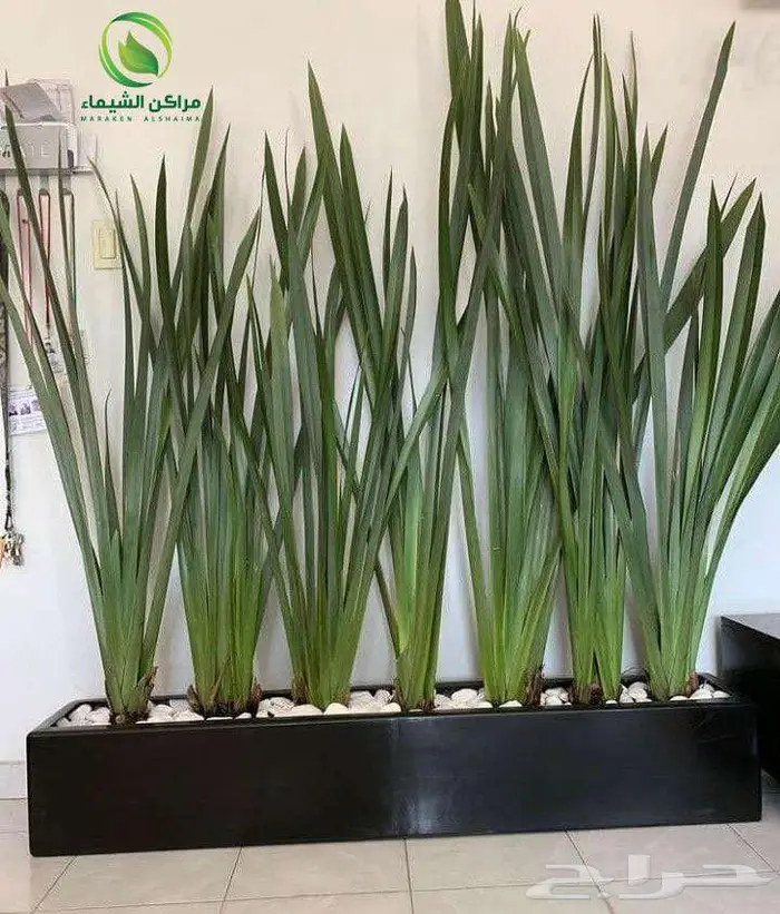 احواض زراعية فايبر بالطائف بسعر المصنع مراكن جملة 16