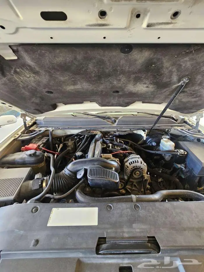 يوكن دينالي XL 11