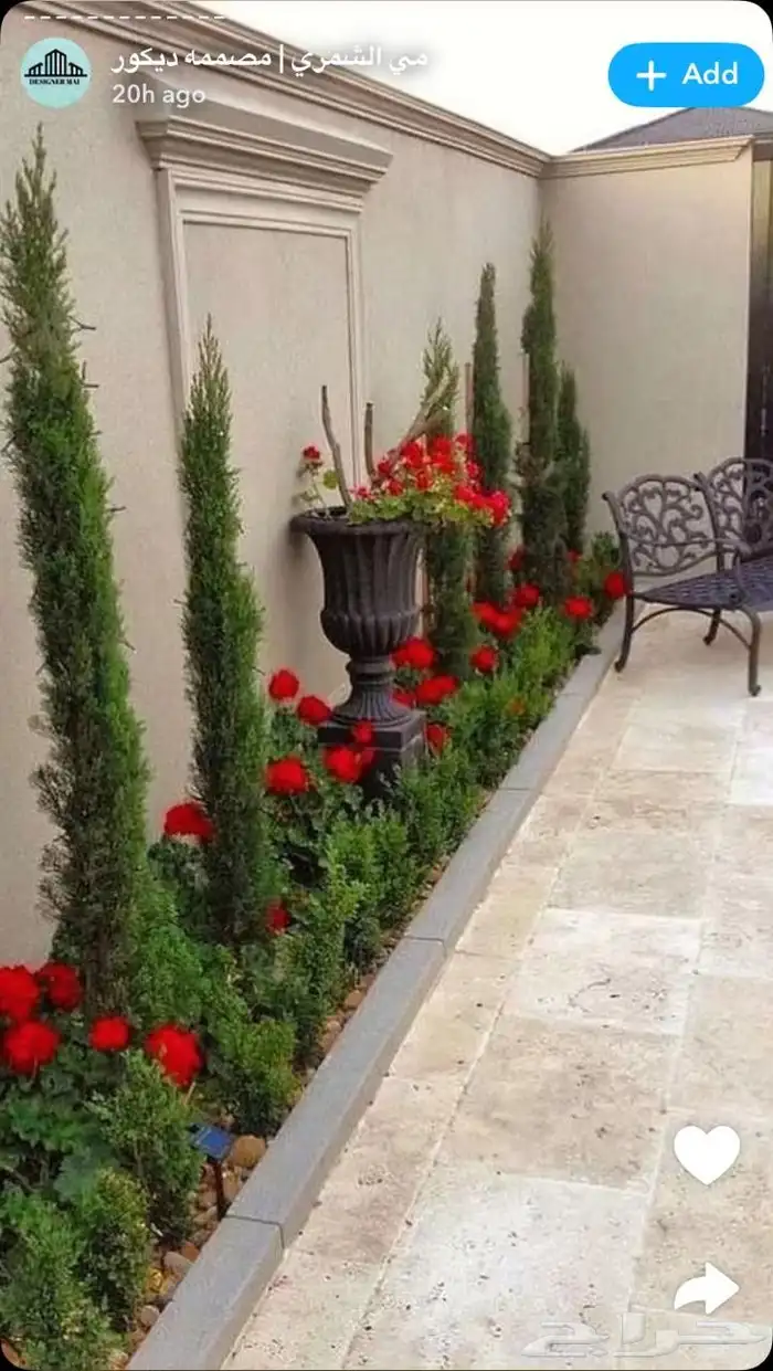 زراعه جميع انواع الاشجار النخل والنجيل القص التزيين والتقليم 6
