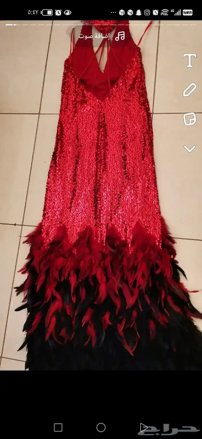 فستان للبيع من الترتر والريش 4