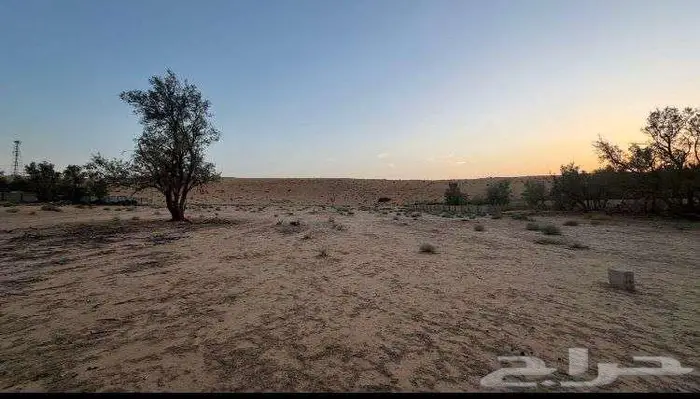 ارض في الهدية بمساحة 3200متر - بصك إلكتروني 0