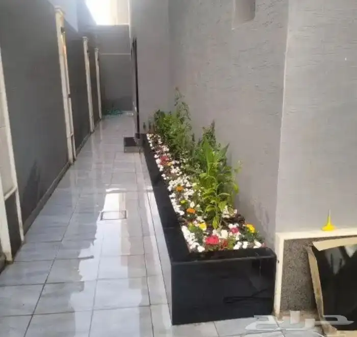 تنسيق الحدائق المنزلية 8