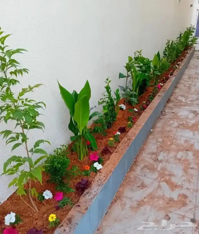 تنسيق الحدائق المنزلية 2