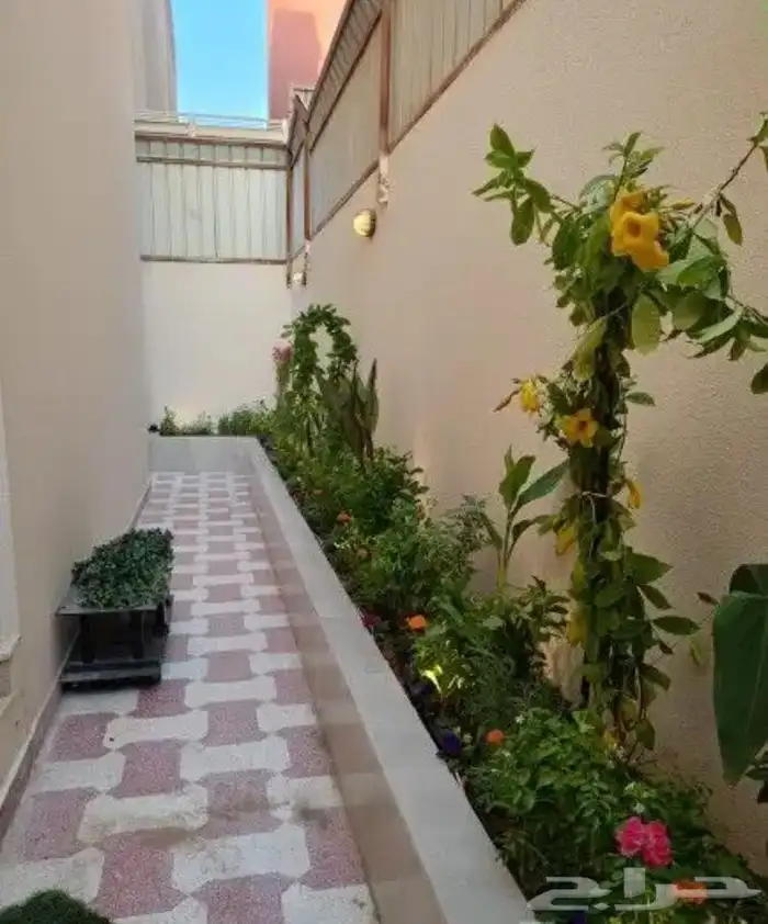 تنسيق الحدائق المنزلية 1