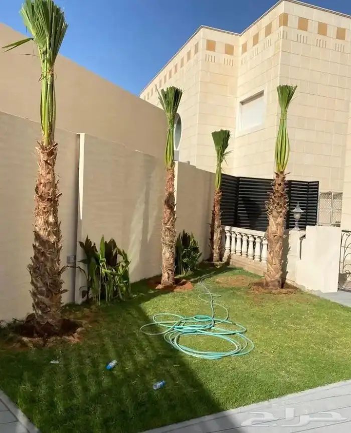 تنسيق الحدائق المنزلية 6